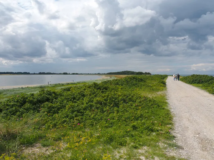 Halshuisene + Enebaerodde Beach (Denemarken)